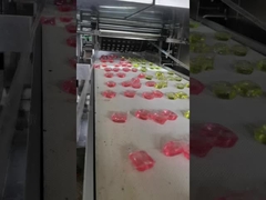 Profissional PLC controlada máquina de lavagem de cápsulas de eficiência de detergente