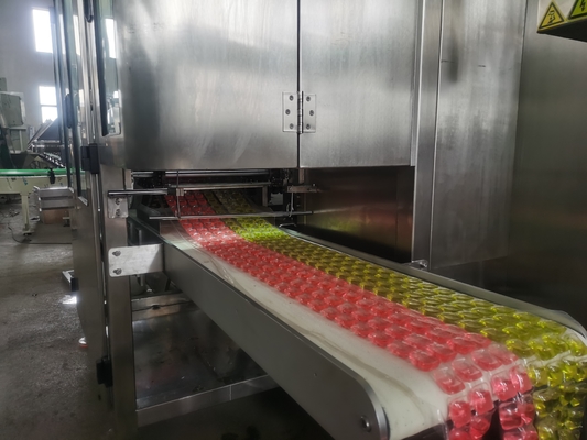 Máquina de fabricação de frascos de roupa elétricos controlados por PLC para produção personalizada